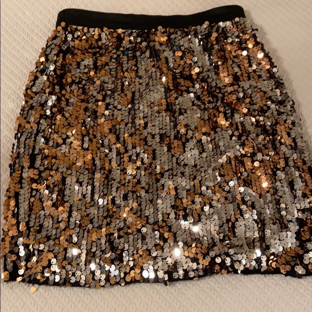Audrey sequin skirt